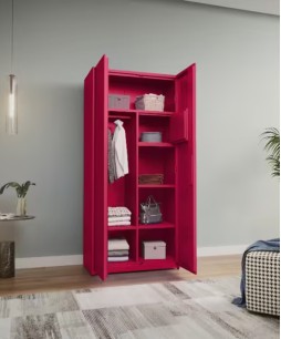 Neolite 2-Door Steel Almirah (Textured Blush Red) 1-Year Warranty, 4 Shelves, 1 Locker