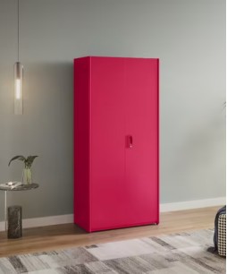 Neolite 2-Door Steel Almirah (Textured Blush Red) 1-Year Warranty, 4 Shelves, 1 Locker