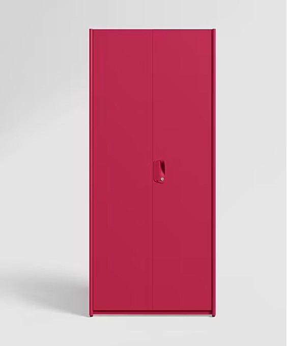 Neolite 2-Door Steel Almirah (Textured Blush Red) 1-Year Warranty, 4 Shelves, 1 Locker