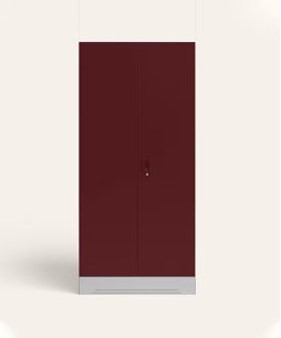 Slimline 2 Door Steel Almirah (Locker, Russet Color)