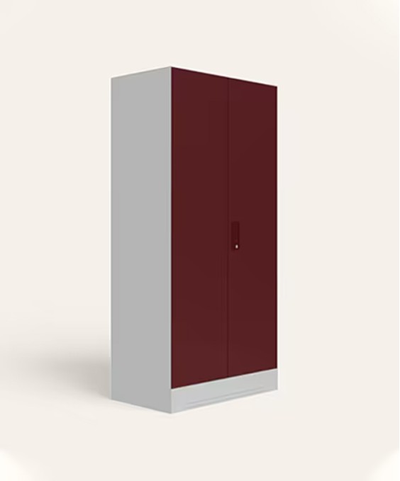 Slimline 2 Door Steel Almirah (Locker, Russet Color)
