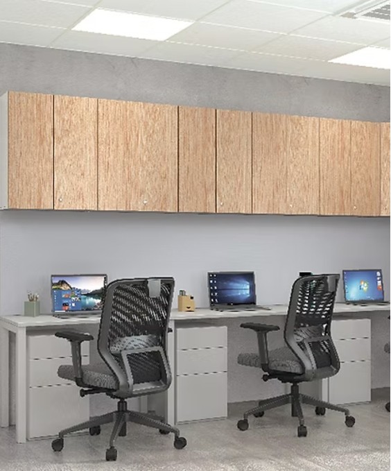 Godrej Ascend Wall Mounted Storage