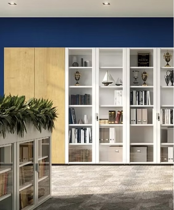 Godrej Gain Pro Storage