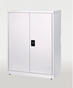 Godrej Storwel Minor Plain Cupboard