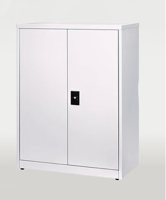 Godrej Storwel Minor Plain Cupboard